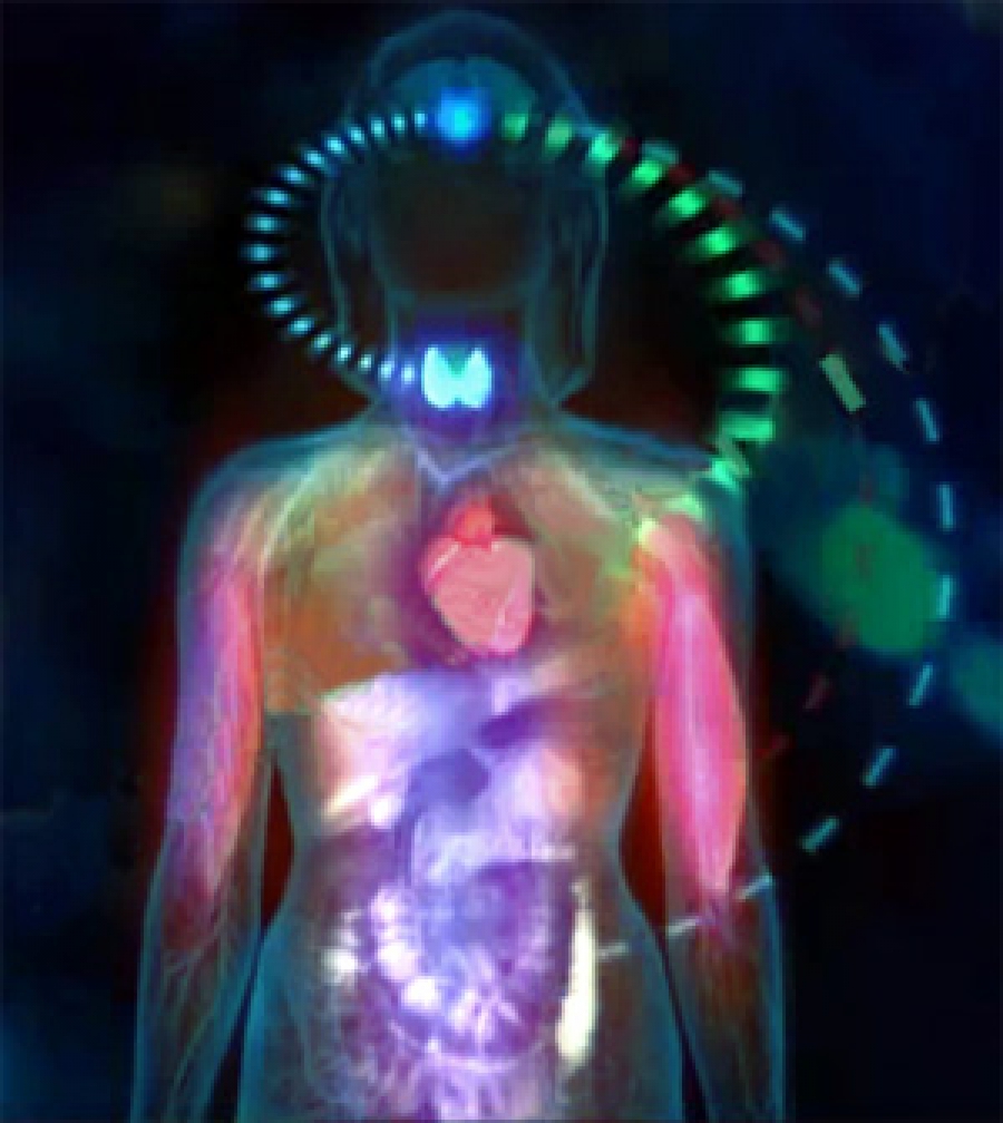 Disorder of metabolism of vitamin B and microelements