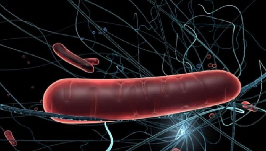 Mitochondria and male disease.